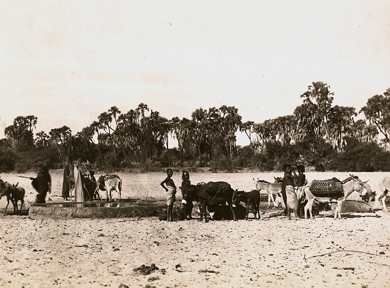 Budowanie imperium w epoce faszystowskiej: studnie w Gasc, 09.05.1936 (zdjęcie czarno-białe) autorstwa Modestino Baldinetti