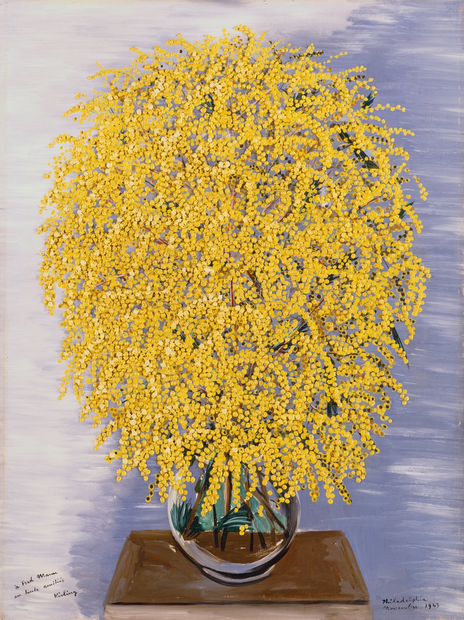 Mimozy autorstwa Moise Kisling
