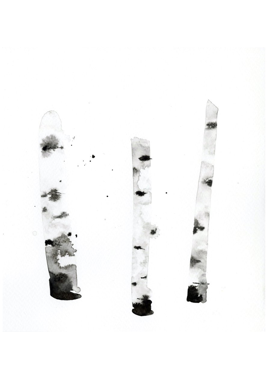 Ghost Birch, 2022 (akwarela na papierze tłoczonym na zimno Langton, 300 g/m²) autorstwa Monica Perez Vega