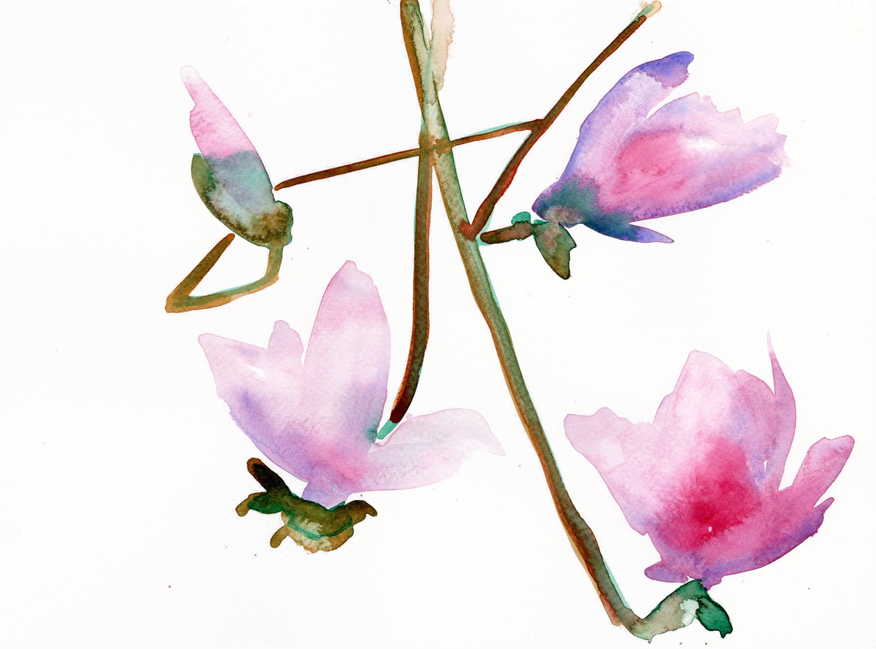 Magnolia 1, 2022 (akwarela na papierze tłoczonym na zimno Langton, 300 g/m²) autorstwa Monica Perez Vega