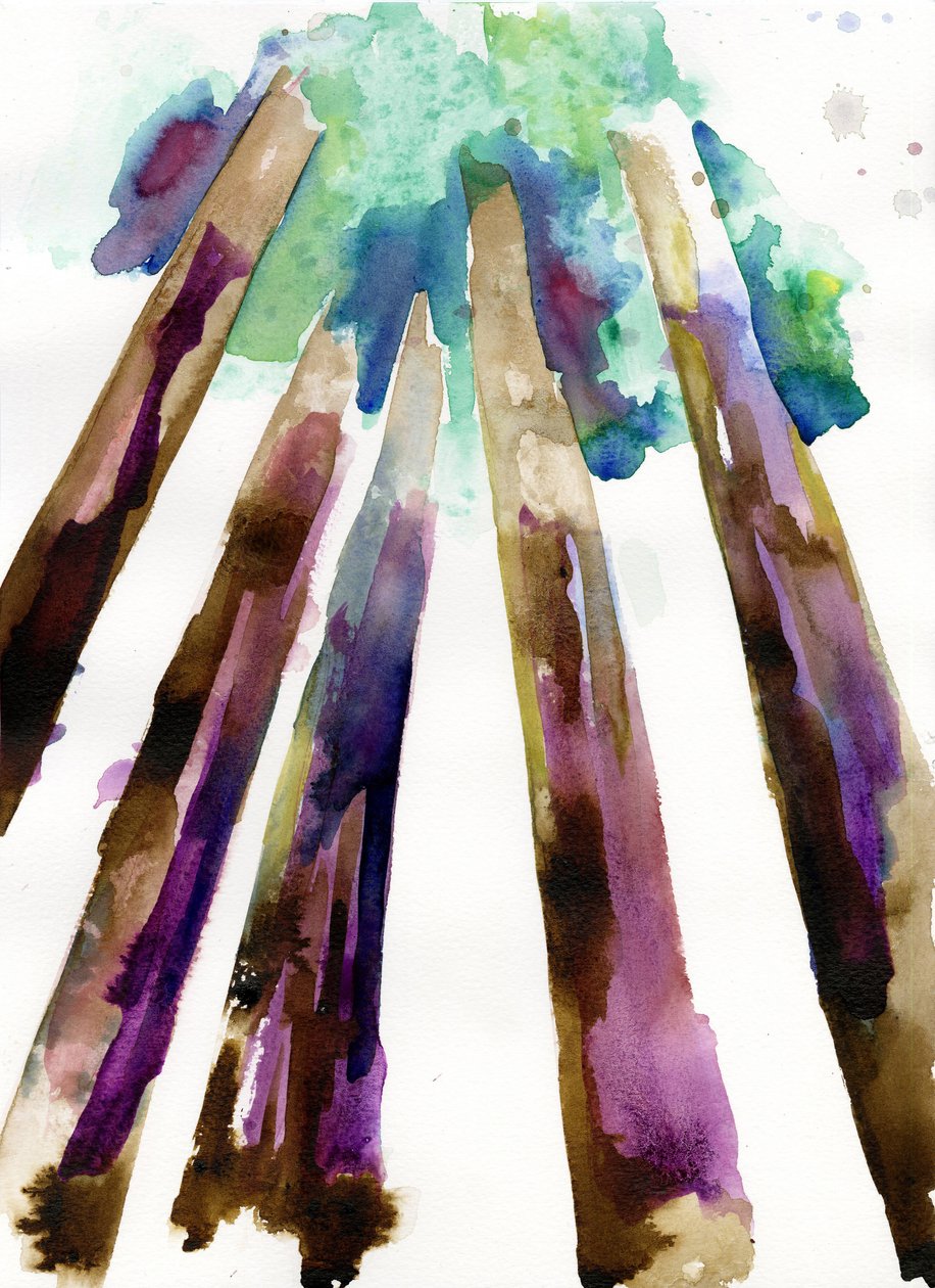 Sequoia 3, 2021 (akwarela na papierze tłoczonym na zimno Langton, 300 g/m²) autorstwa Monica Perez Vega