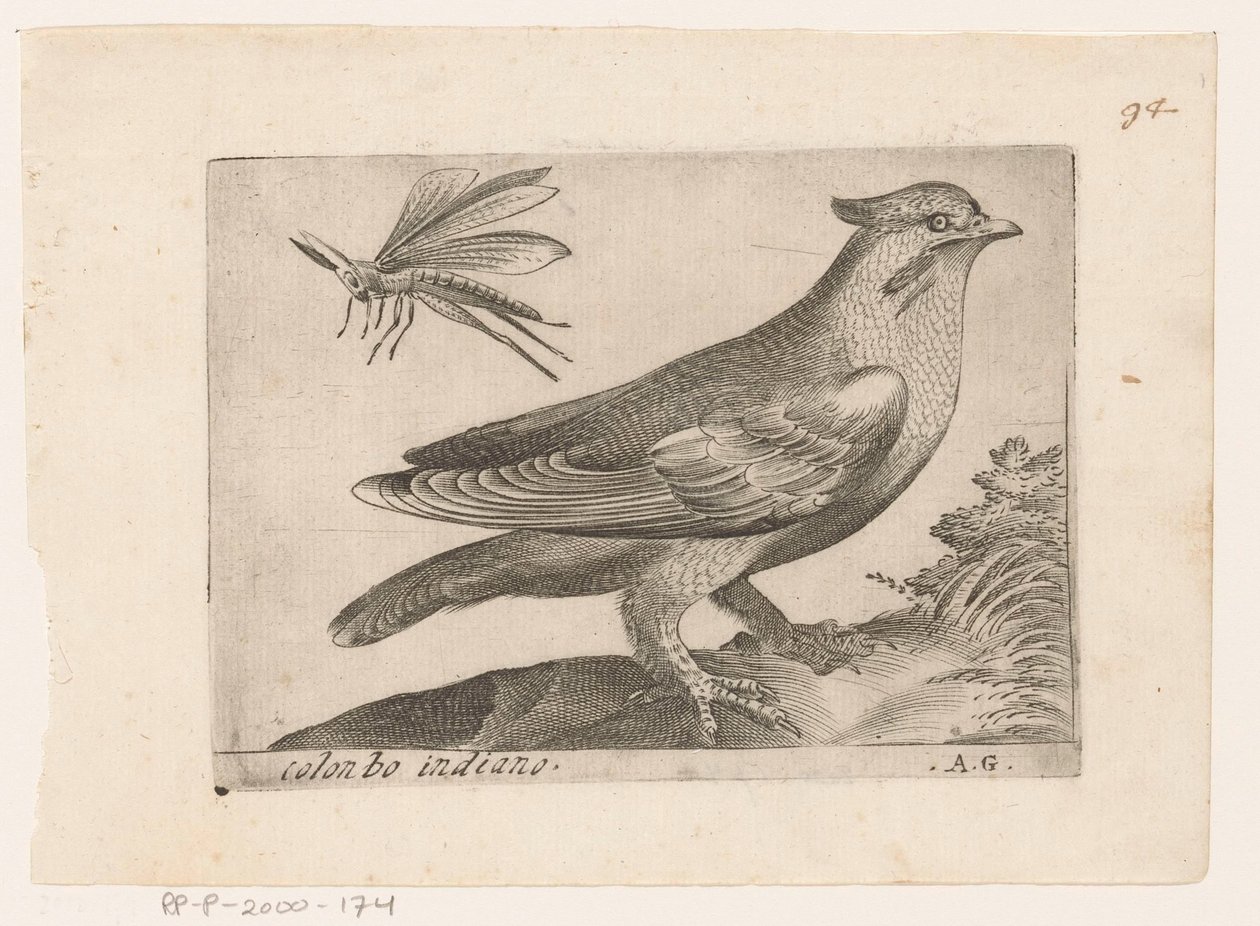 Pestvogel (Bombycilla garrulus) Colonbo indiano (tytuł na obiekcie) Vogels (tytuł serii) autorstwa Monogrammist AG
