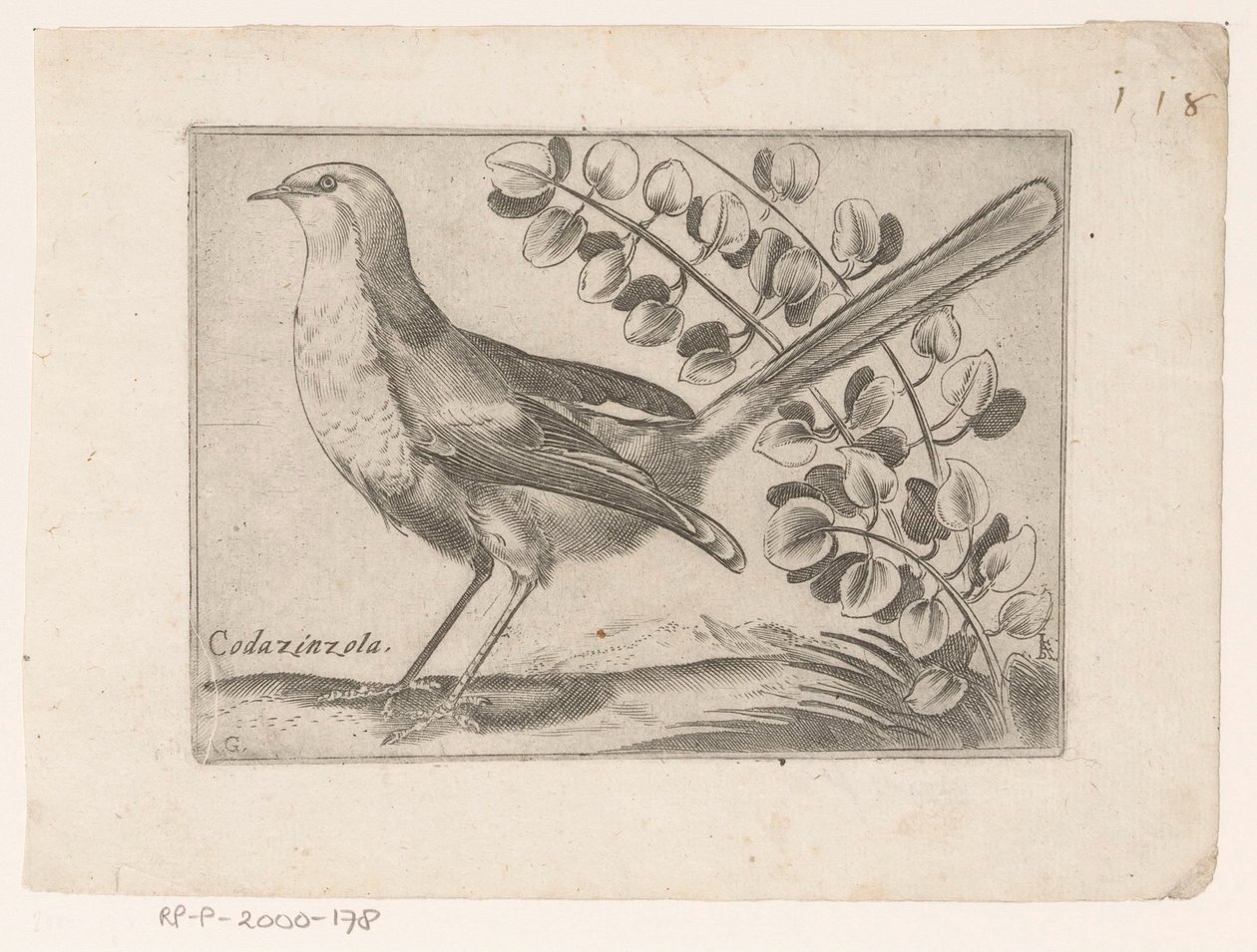 Vogel Codazinzola (tytuł na obiekcie) Vogels (tytuł serii) autorstwa Monogrammist AG