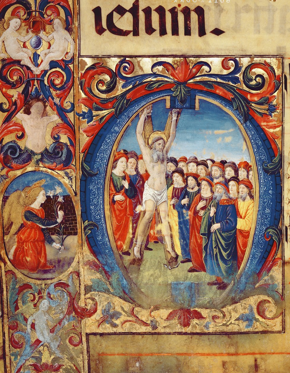 Ms 543 f.5v Historyczny inicjał O z ukrzyżowaniem św. Andrzeja, z psałterza, ok. 1515 autorstwa Monte di Giovanni del Fora
