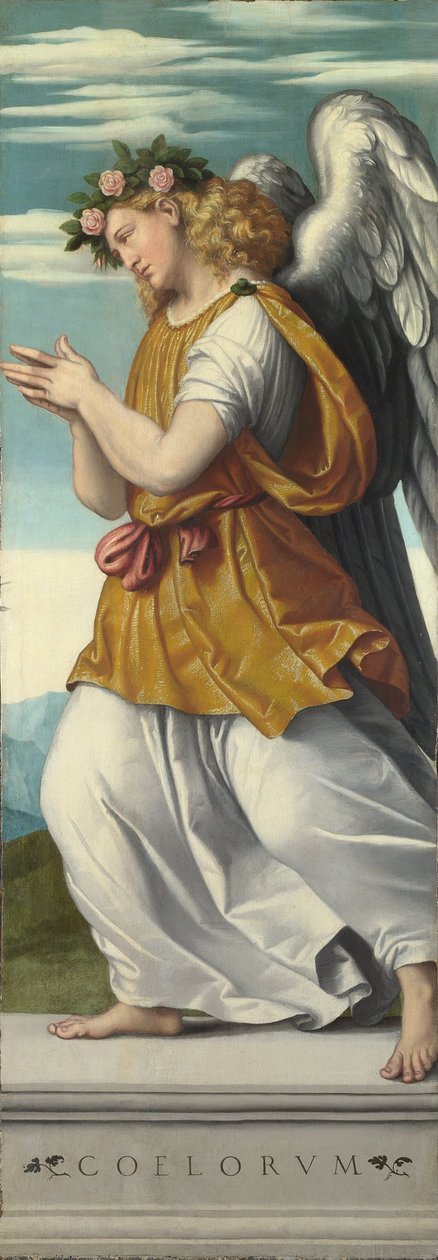 Uwielbiający anioł (1) autorstwa Moretto da Brescia