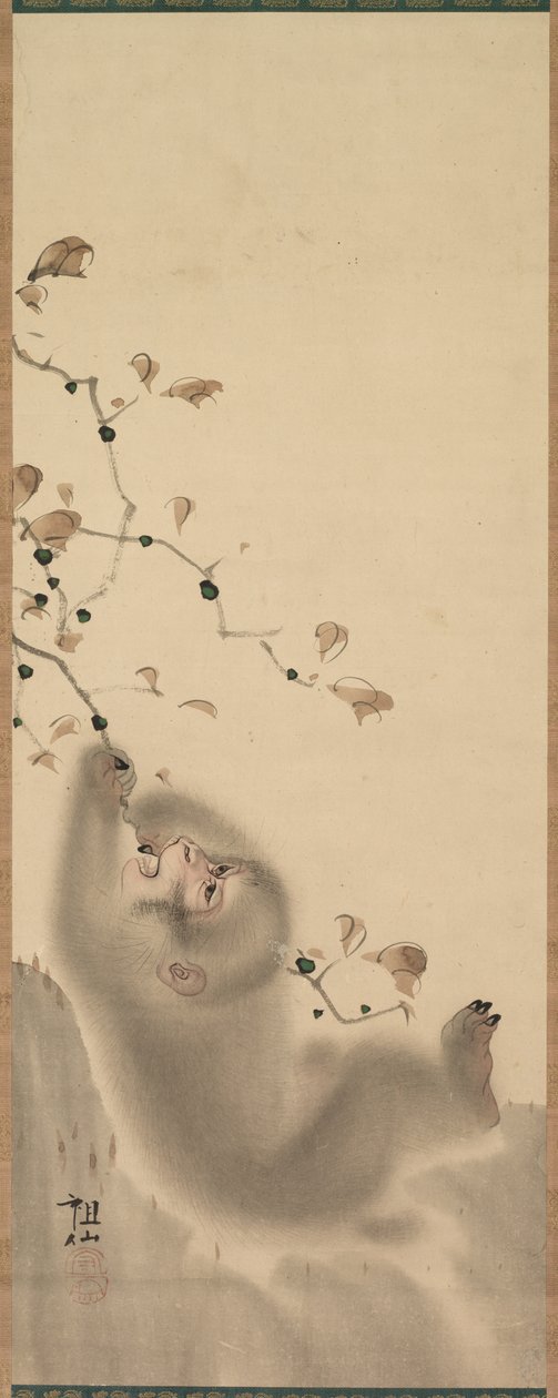 Małpa wisząca na gałęzi, 1780. autorstwa Mori Sosen