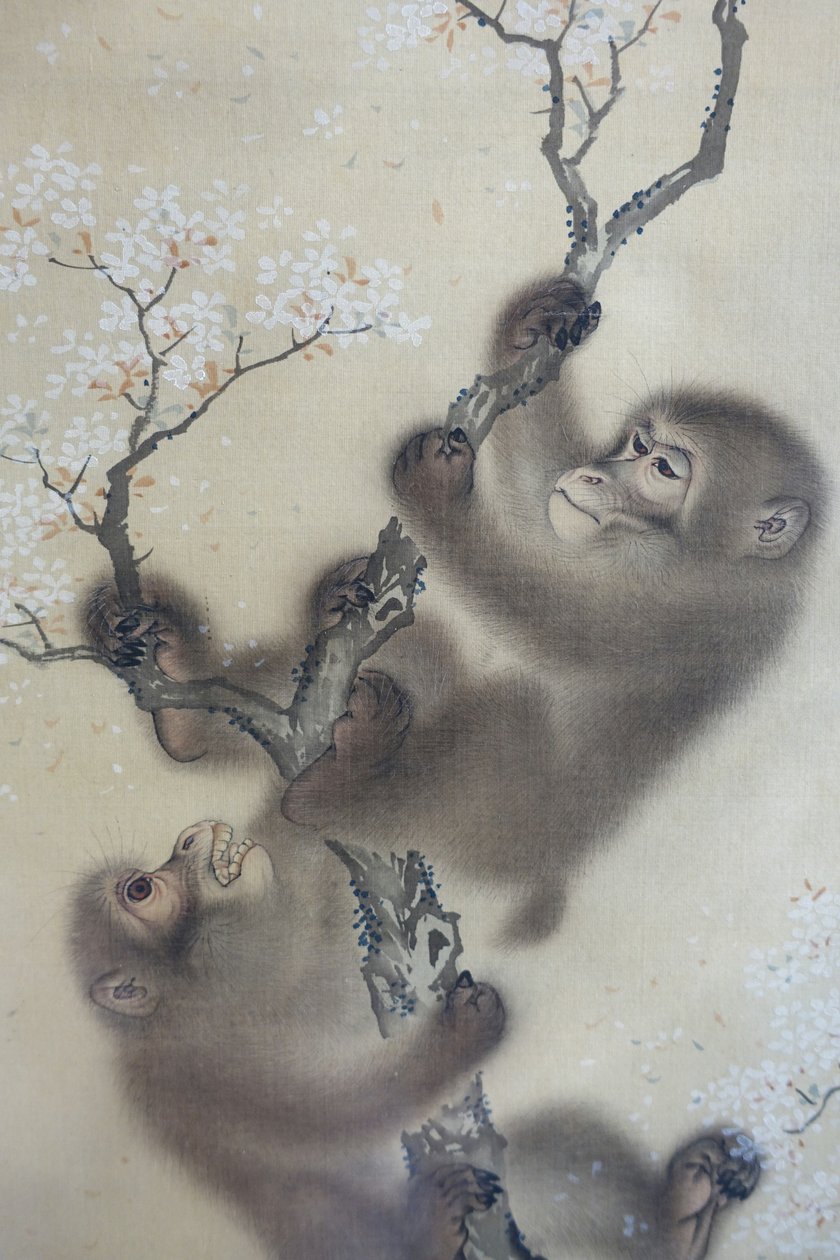 Małpy w kwitnącej wiśni, 1 z 2, Mori Sosen, Japonia, okres Edo, początek XIX wieku, tusz i kolor na jedwabiu - Arthur M. Sackler Museum, Harvard University - DSC01127 autorstwa Mori Sosen