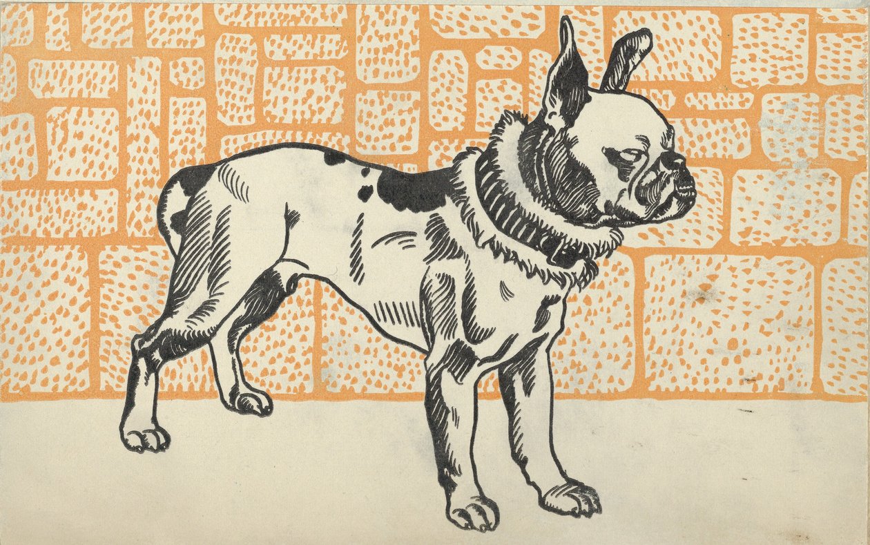 Pitbull Terrier, 1912. autorstwa Moritz Jung
