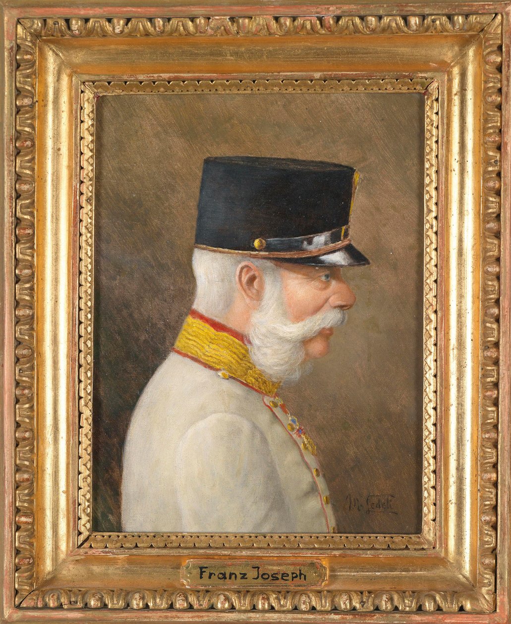 Portret Franciszka Józefa I Austriaka autorstwa Moritz Ledeli