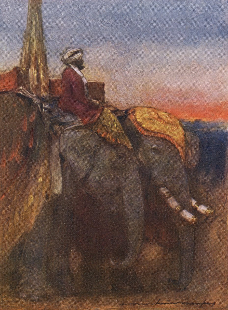 Słonie Jaipur autorstwa Mortimer Ludington Menpes