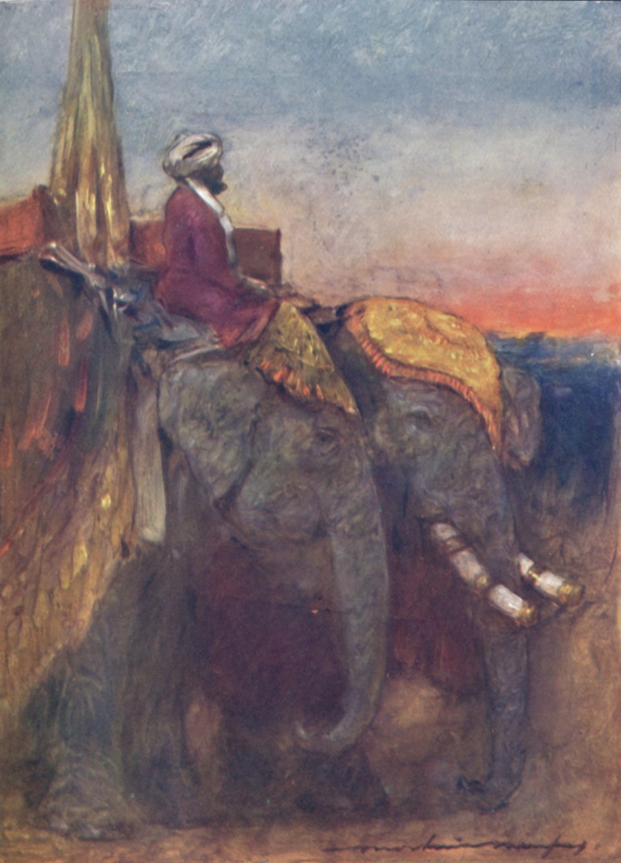 „Słonie Jaipur”, 1903 autorstwa Mortimer L Menpes