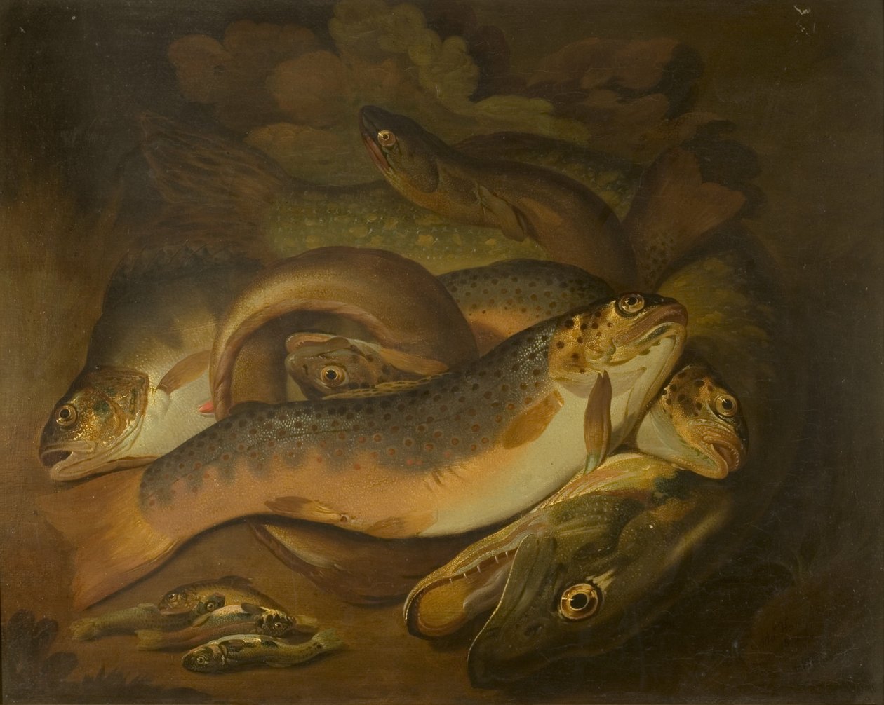 Ryby autorstwa Moses Haughton