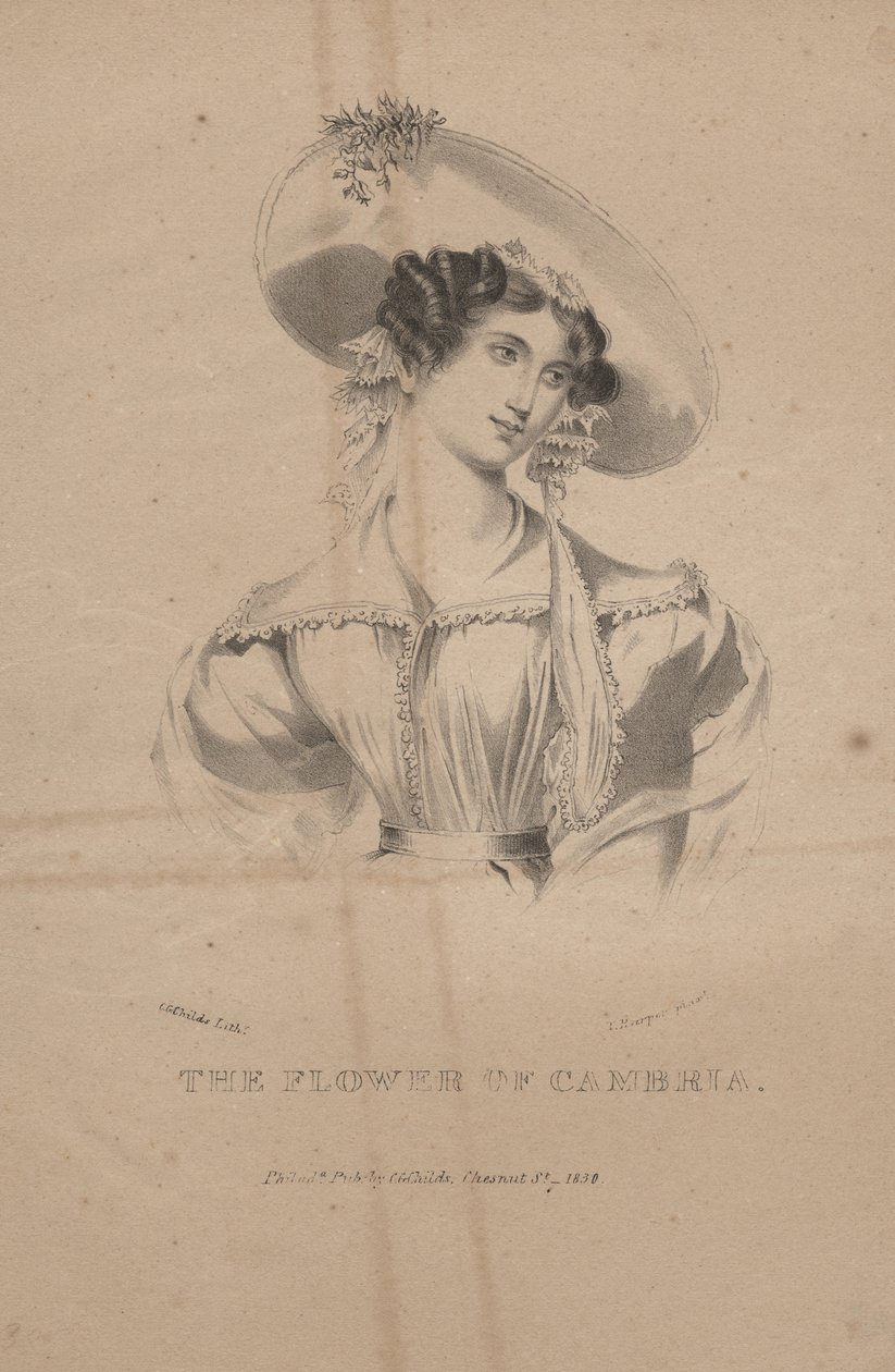 Kwiat Cambrii, lito autorstwa C.G. Dzieci, 1830 autorstwa Moses Swett