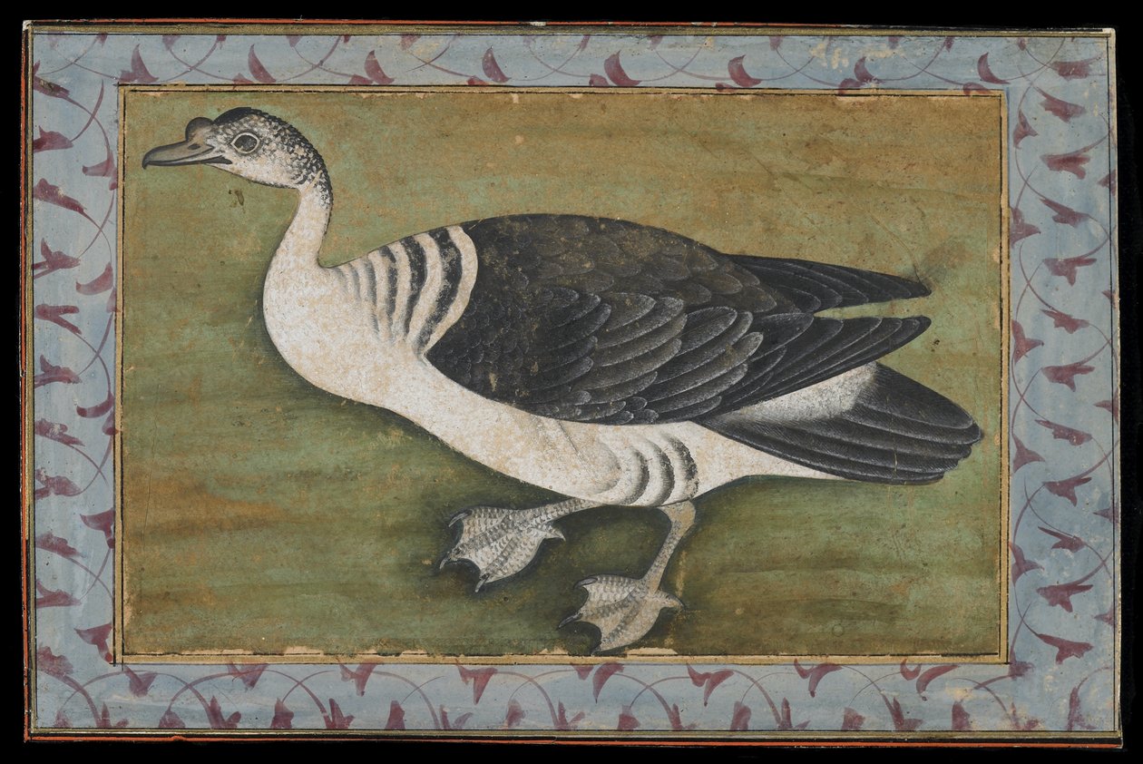 Grzebień Kaczki, Obraz, koniec XVIII w. autorstwa Mughal School