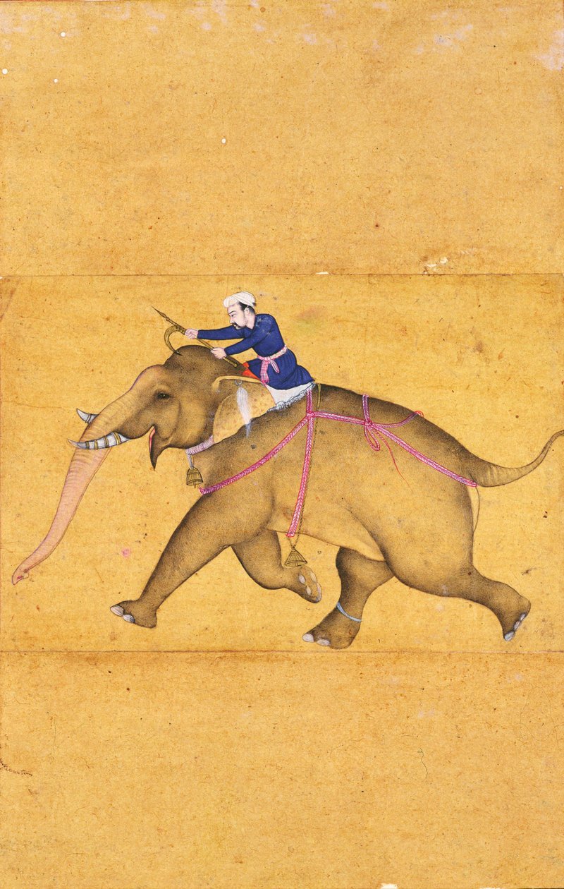 Mahout jadący na słoniu, z dużego albumu Clive (rysunek linii z rozmyciem kolorów na papierze) autorstwa Mughal School
