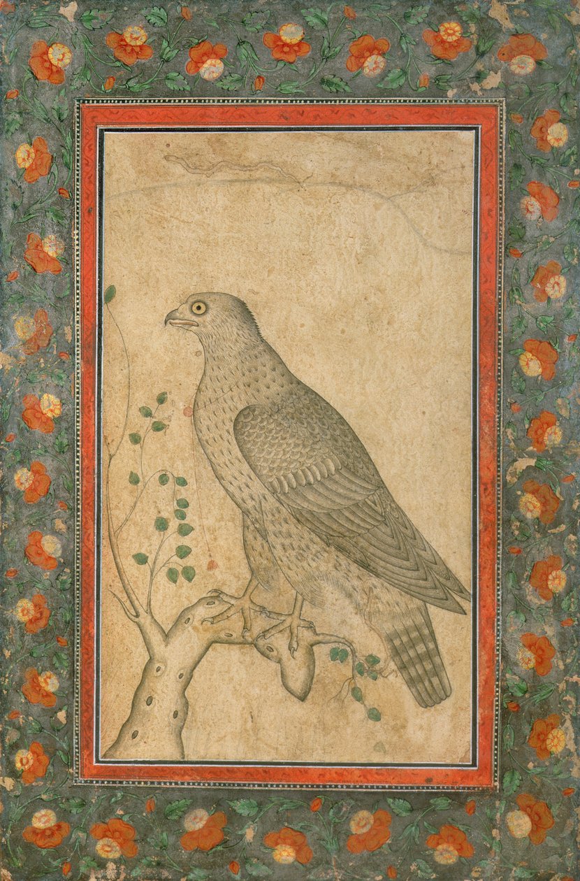 Sokół siedzący na liściastym pniu, ok.1650 autorstwa Mughal School