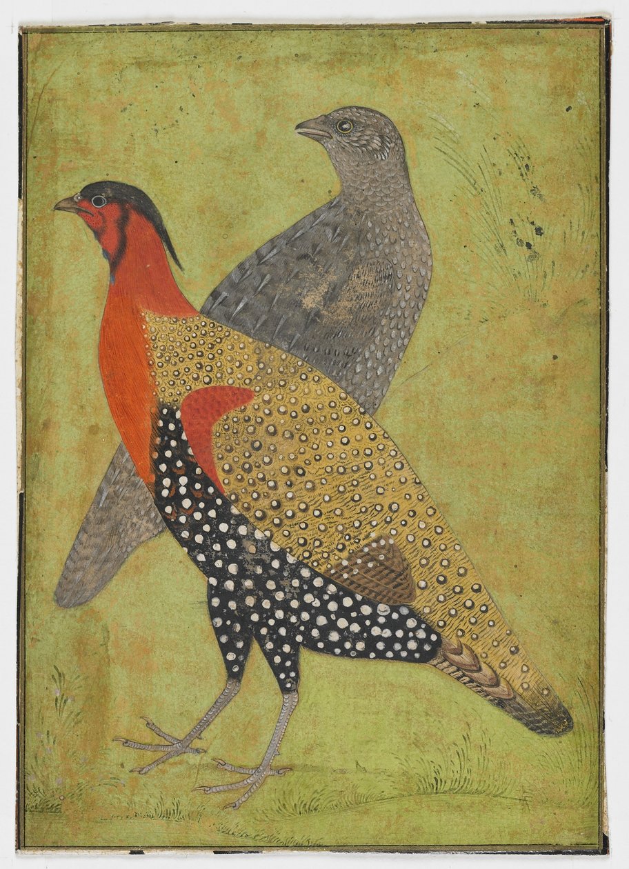 Dwa bażanty, Malarstwo, początek XVII w. autorstwa Mughal School