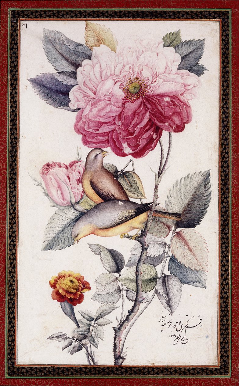 Gul-o Bulbul, ok. 1849-50 (akwarela na papierze) autorstwa Muhammad Baqir