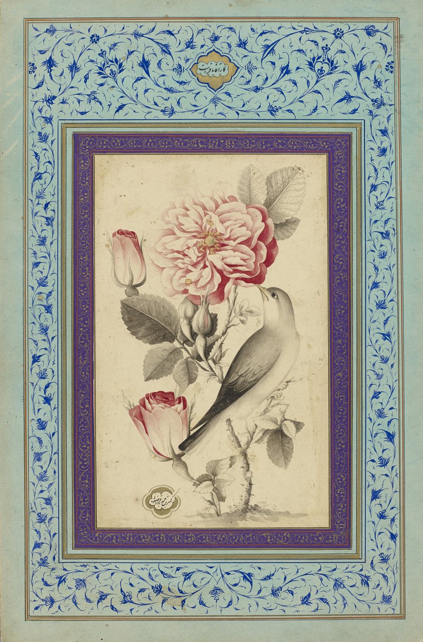 Róże i słowik, koniec XVIII w. (tusz i kolor na papierze) autorstwa Muhammad Baqir