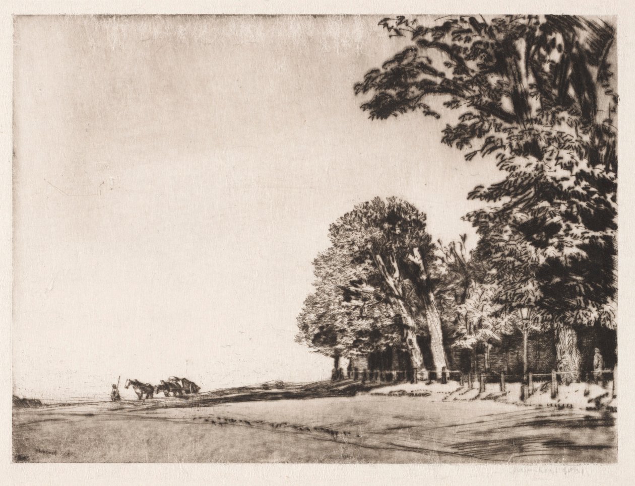 Hampstead Heath autorstwa Muirhead Bone