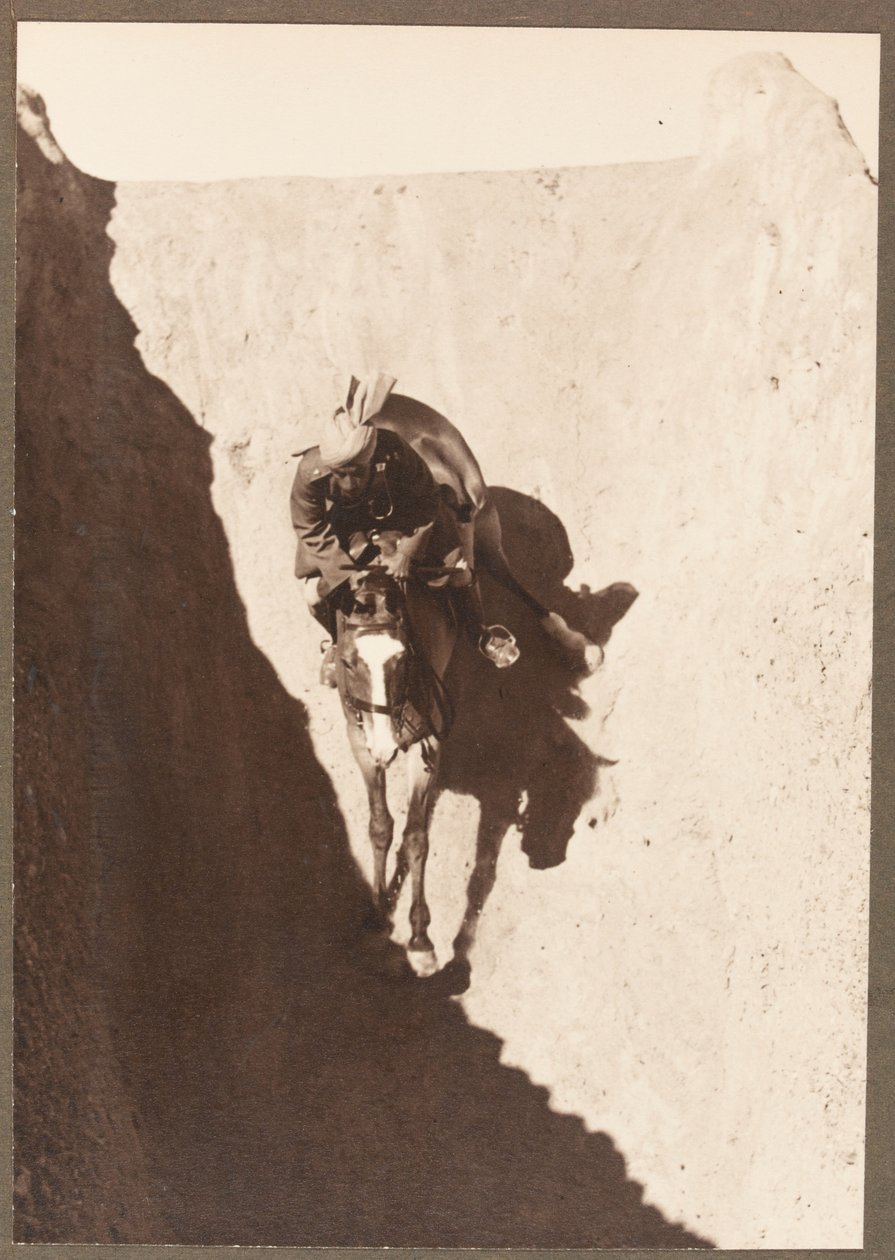 Slajd autorstwa Mullick Photo House