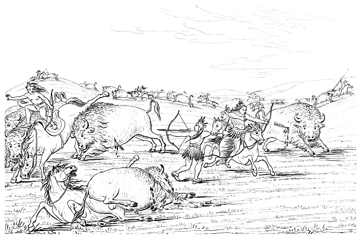 Rdzenni Amerykanie polujący na bawoły, 1841. autorstwa Myers and Co
