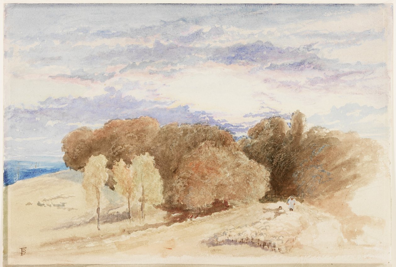 Arundel Park (ołówek i akwarela na papierze) autorstwa Myles Birket Foster