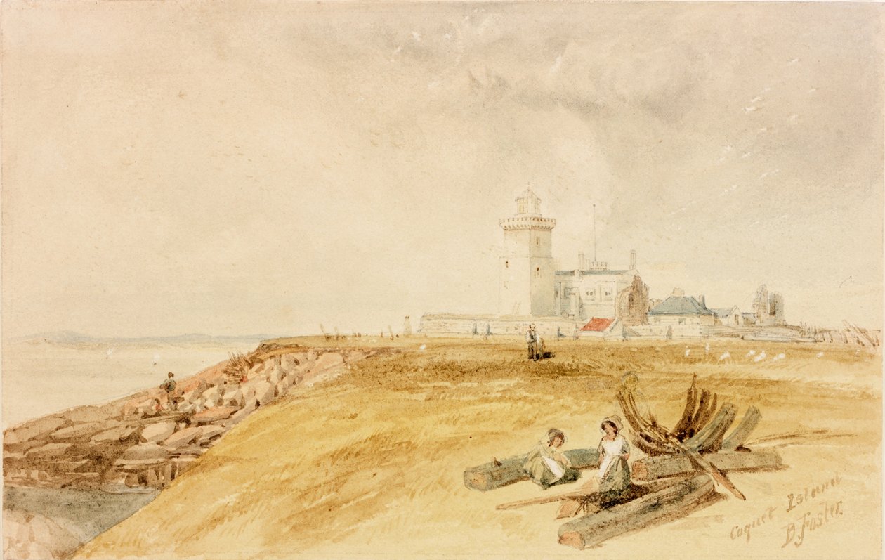 Coquet Island (ołówek i akwarela na papierze) autorstwa Myles Birket Foster