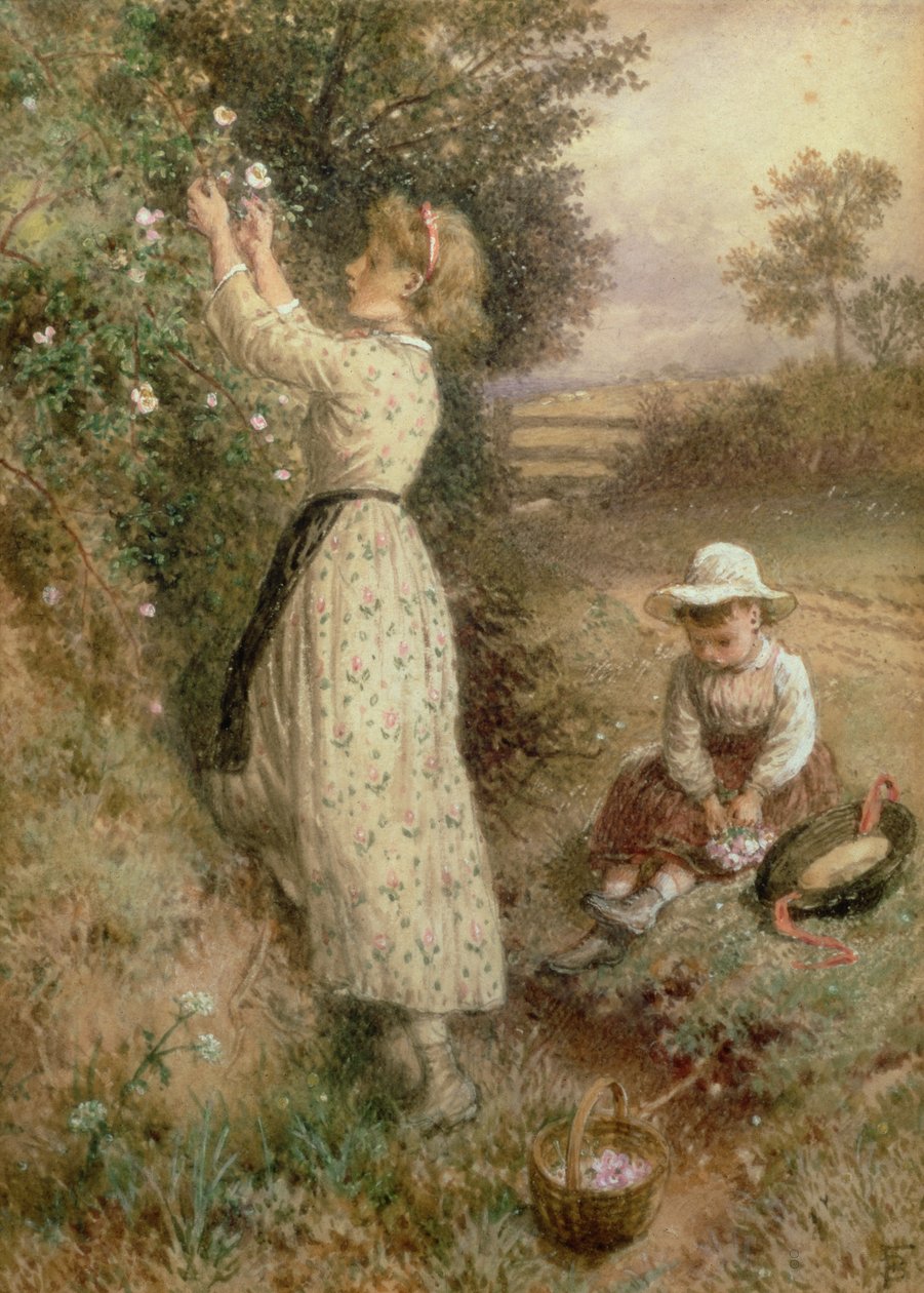 Dzikie Róże autorstwa Myles Birket Foster