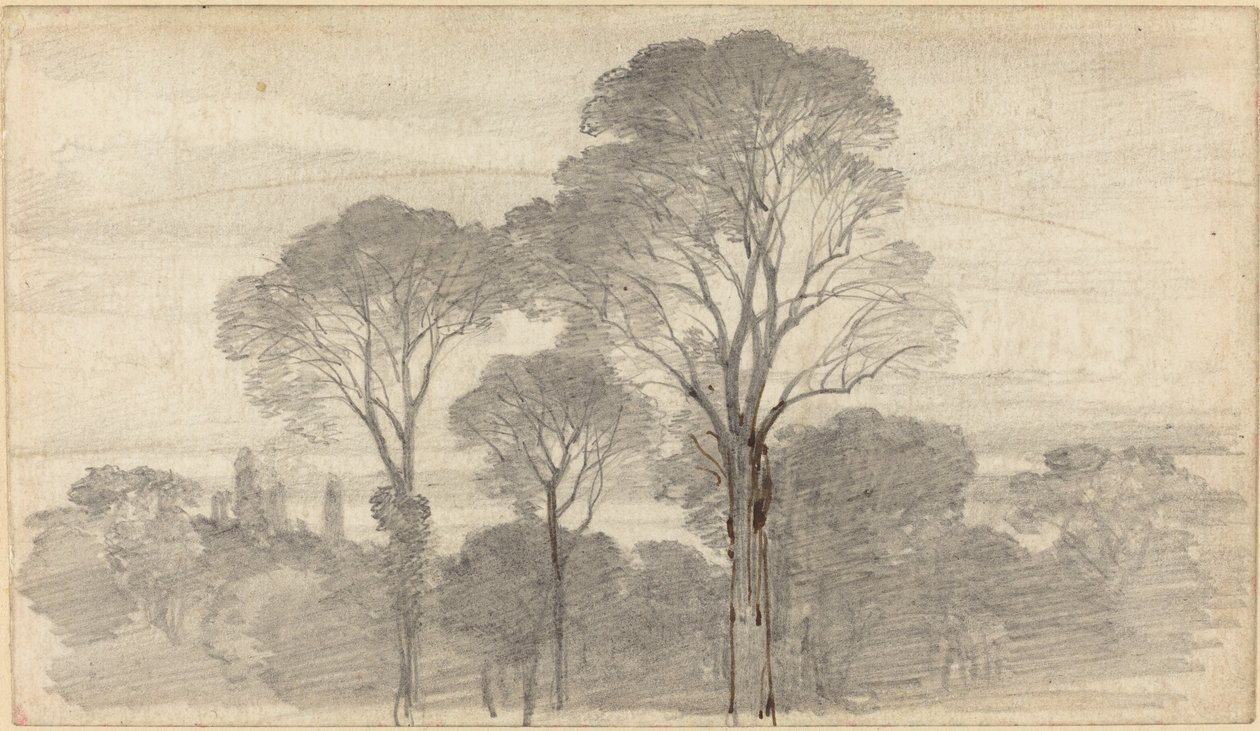 Wieczorny krajobraz z wysokimi drzewami autorstwa Myles Birket Foster
