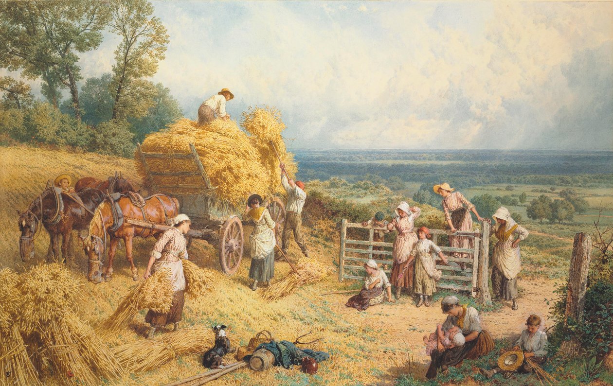 Harvest Time (ołówek i akwarela wzmocnione farbą do ciała na papierze) autorstwa Myles Birket Foster