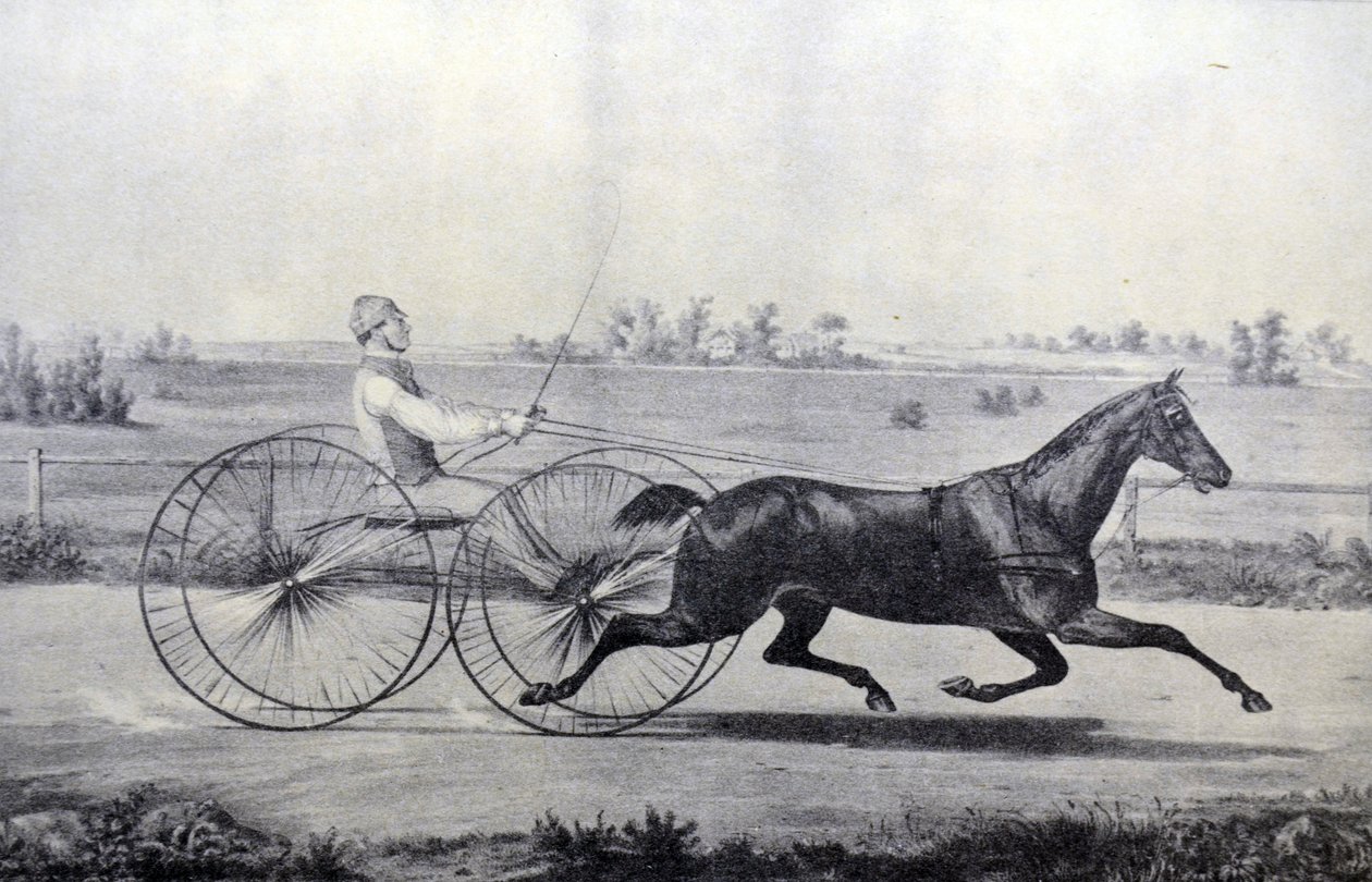 Currier & Ives ilustracja XIX wieku. Świątynia Flory autorstwa N. and Ives, J.M. Currier