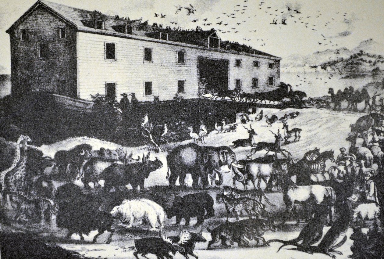 Currier & Ives ilustracja XIX wieku. Arka Noego autorstwa N. and Ives, J.M. Currier