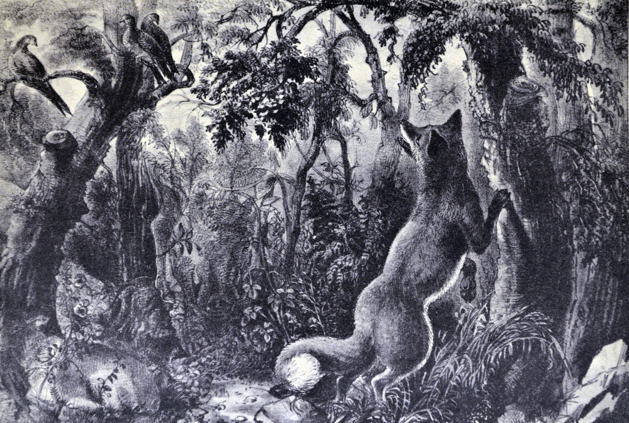 Currier & Ives ilustracja XIX wieku. Zdziwiony lis autorstwa N. and Ives, J.M. Currier