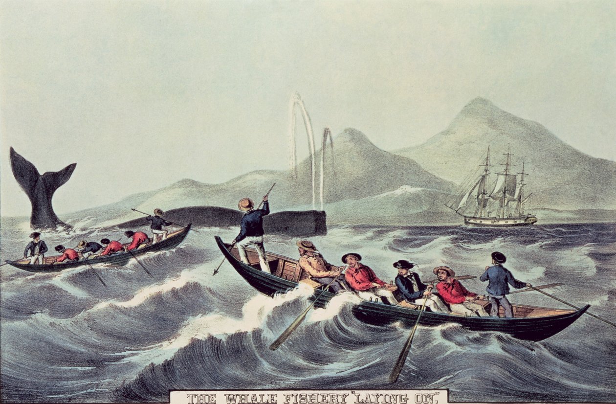 Łowisko wielorybów „Kładzenie”, 1852 r. autorstwa N. and Ives, J.M. Currier