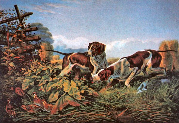 Amerykańskie sporty terenowe: w punkcie autorstwa Currier and Ives