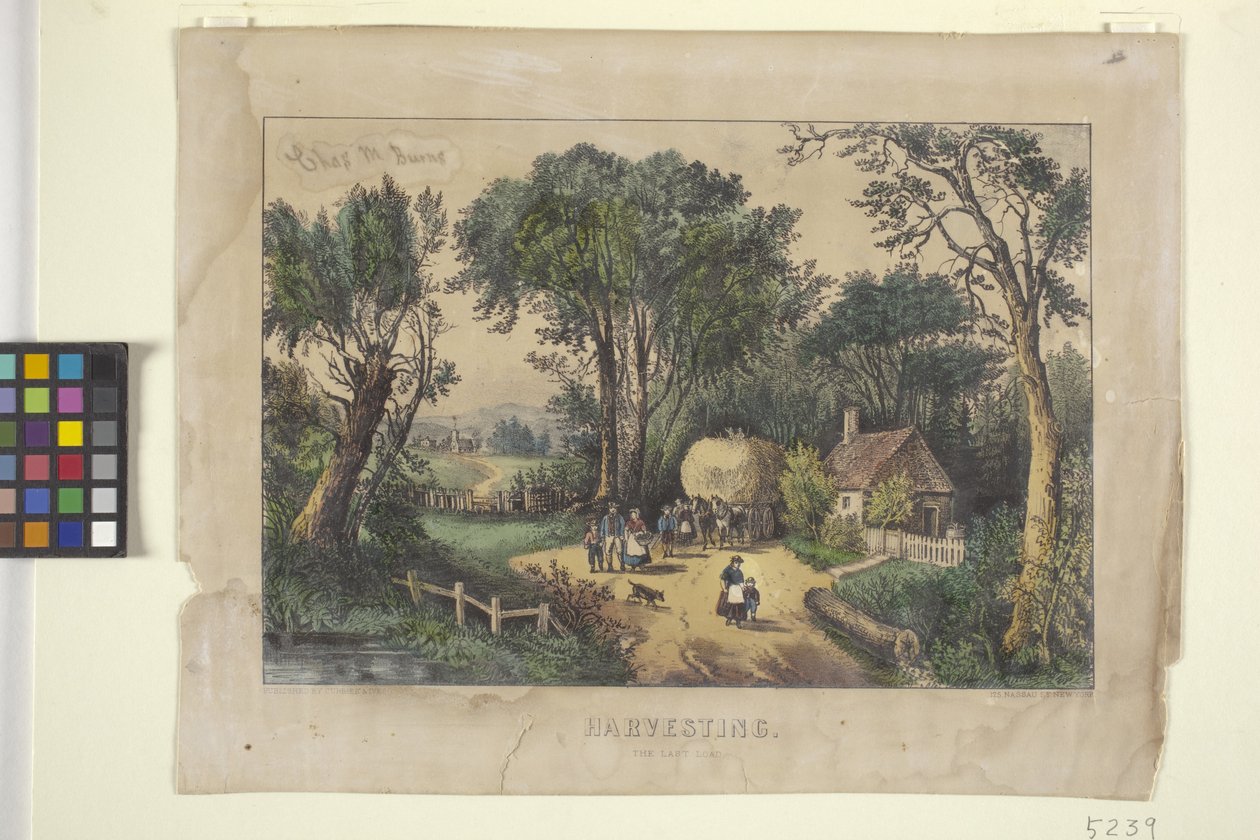Żniwny. The Last Load (litografia ręcznie kolorowana) autorstwa N. and Ives J.M. (1824 95) Currier