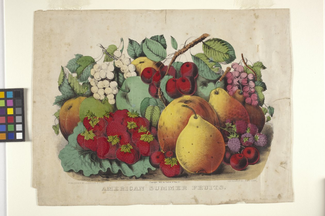 American Summer Fruit (litografia ręcznie kolorowana) autorstwa N. and Ives J.M. (1824 95) Currier
