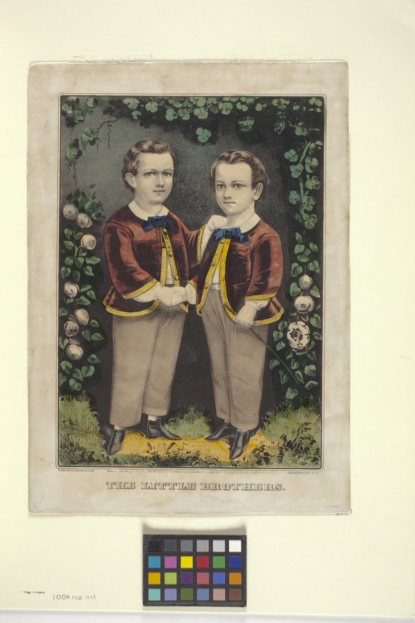 Little Brothers (litografia ręcznie kolorowana) autorstwa N. and Ives J.M. (1824 95) Currier