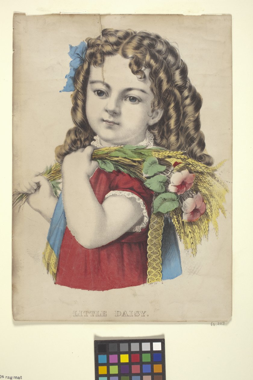 Little Daisy (litografia ręcznie kolorowana) autorstwa N. and Ives J.M. (1824 95) Currier