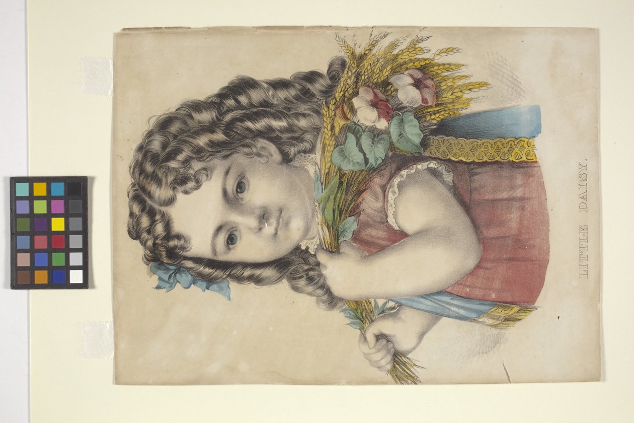 Little Daisy (litografia ręcznie kolorowana) autorstwa N. and Ives J.M. (1824 95) Currier