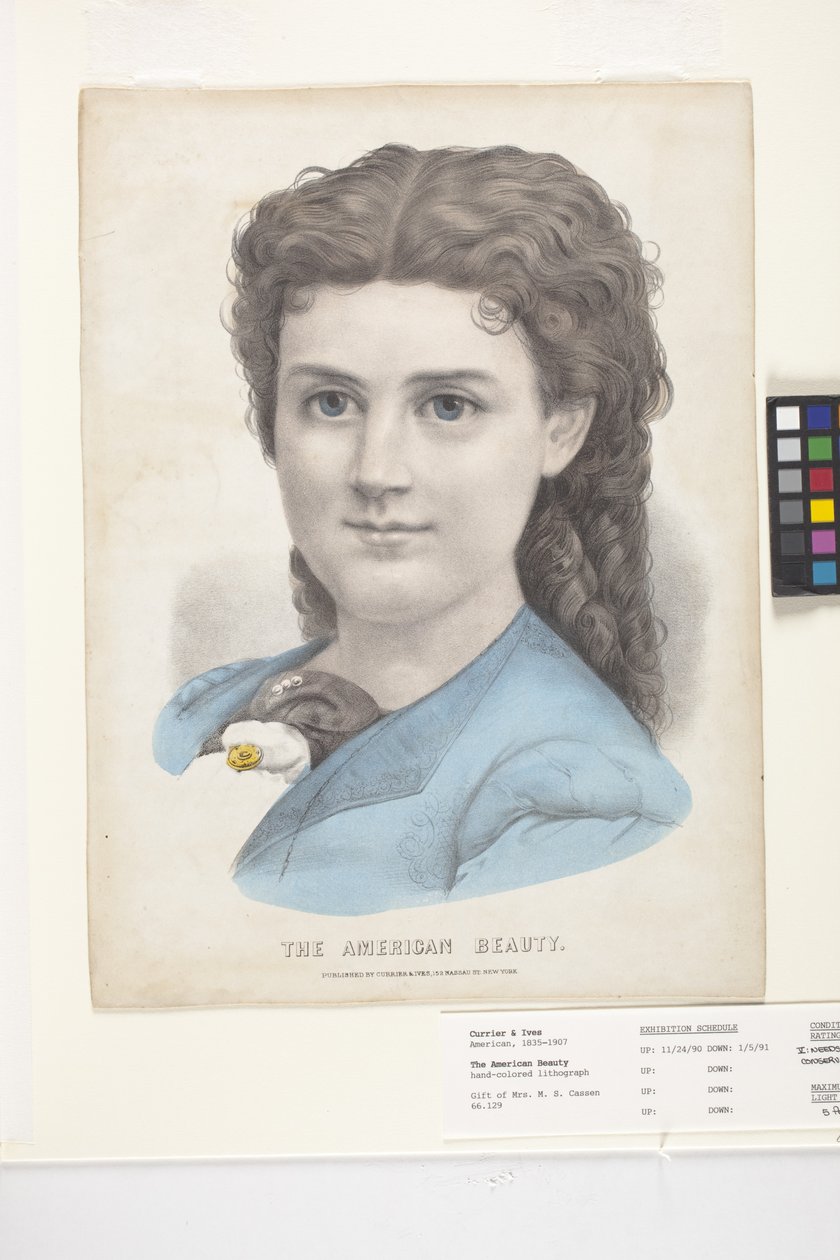 The American Beauty (litografia ręcznie kolorowana) autorstwa N. and Ives J.M. (1824 95) Currier