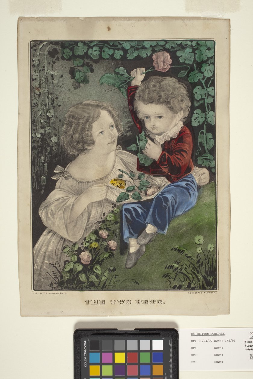 The Two Pets (litografia ręcznie kolorowana) autorstwa N. and Ives J.M. (1824 95) Currier