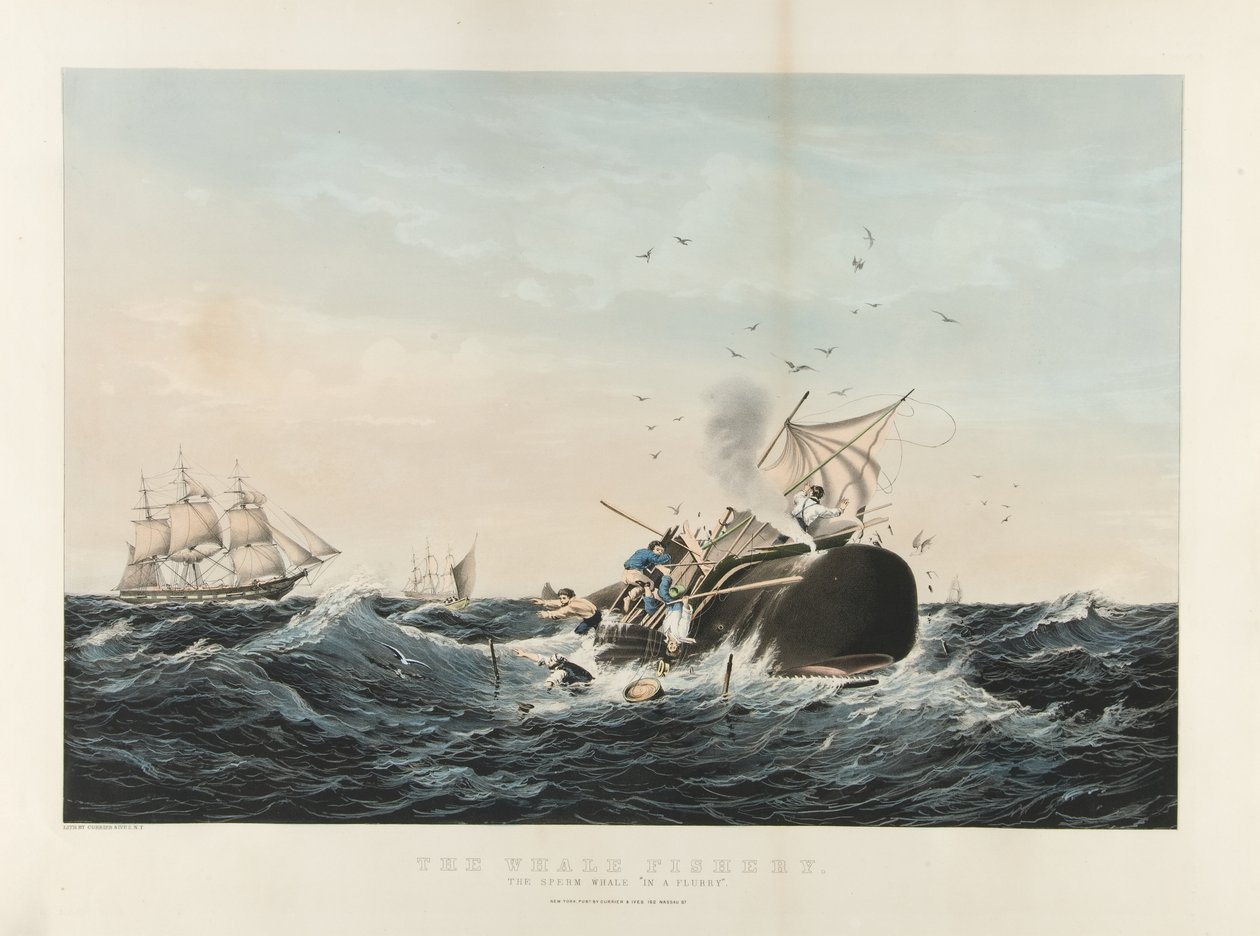 Łowisko wielorybów: Kaszalot „In a Flurry” (litografia kolorowa) autorstwa Currier and Ives