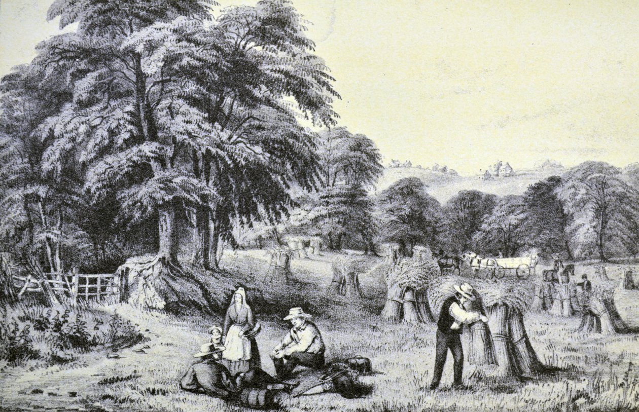 Currier & Ives ilustracja XIX wieku. Zbiór autorstwa N. and Ives, J.M. Currier