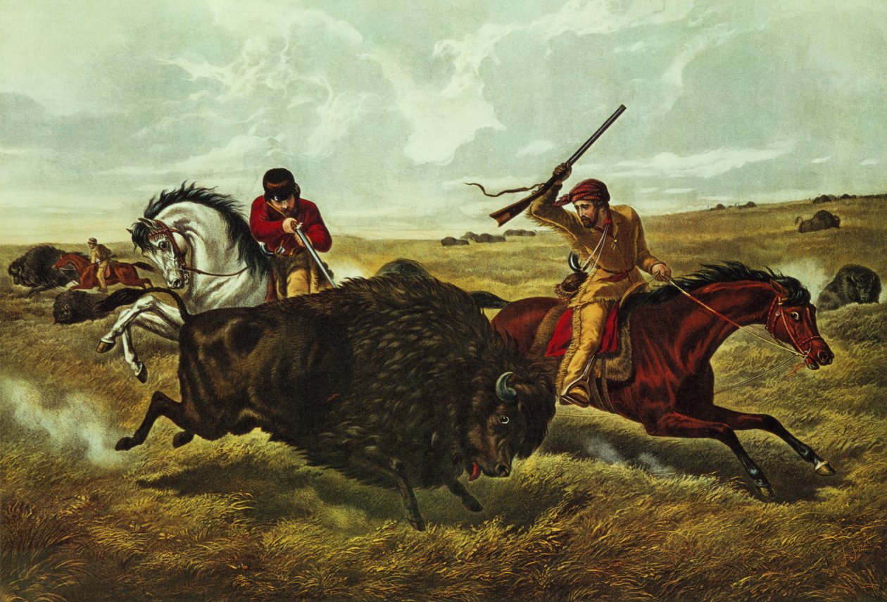 Życie na prerii - polowanie na bizony, 1862 (kolor lito) autorstwa N. and Ives, J.M. Currier