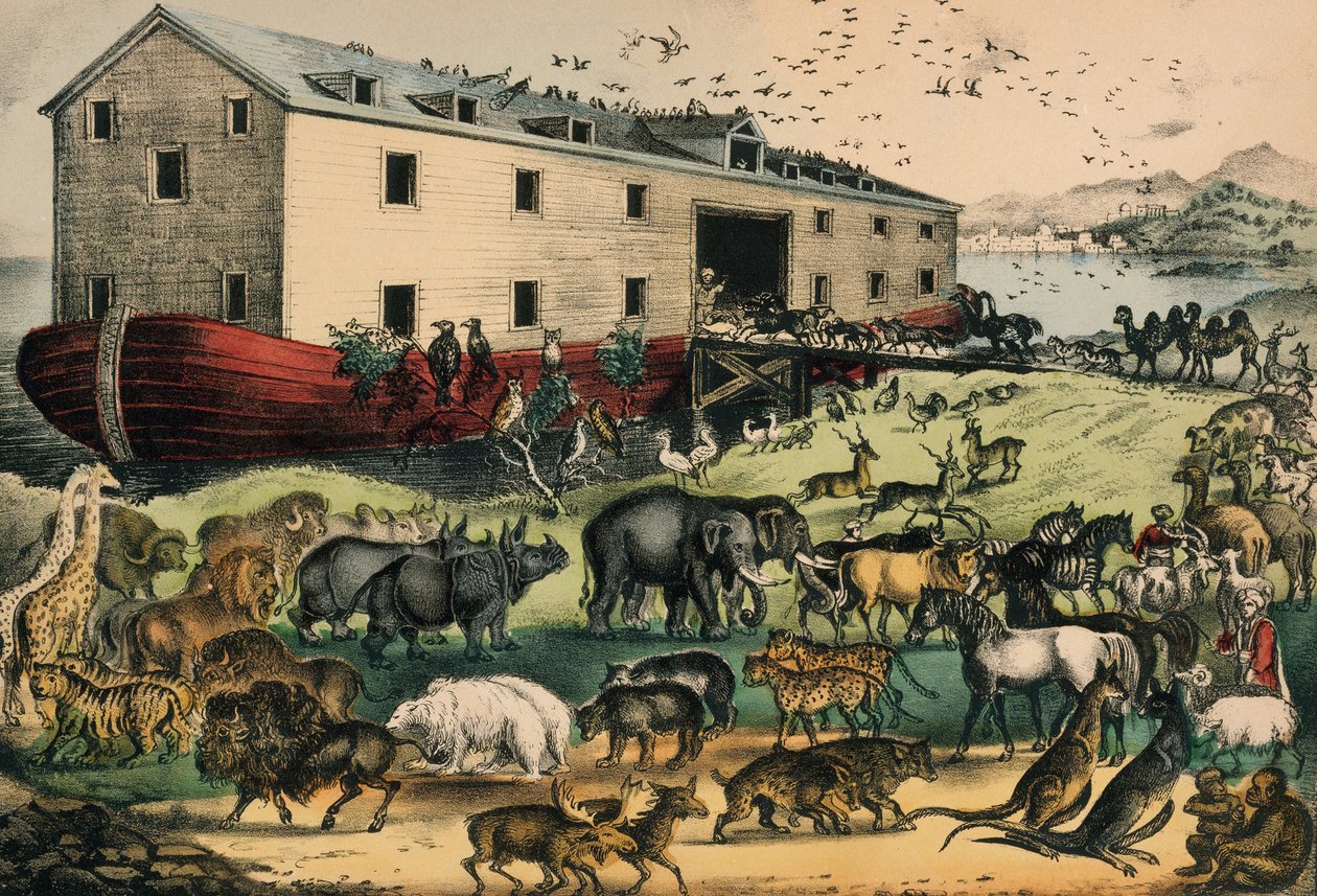 Arka Noego, 1874-78 (litografia ręcznie kolorowana) autorstwa N. and Ives, J.M. Currier