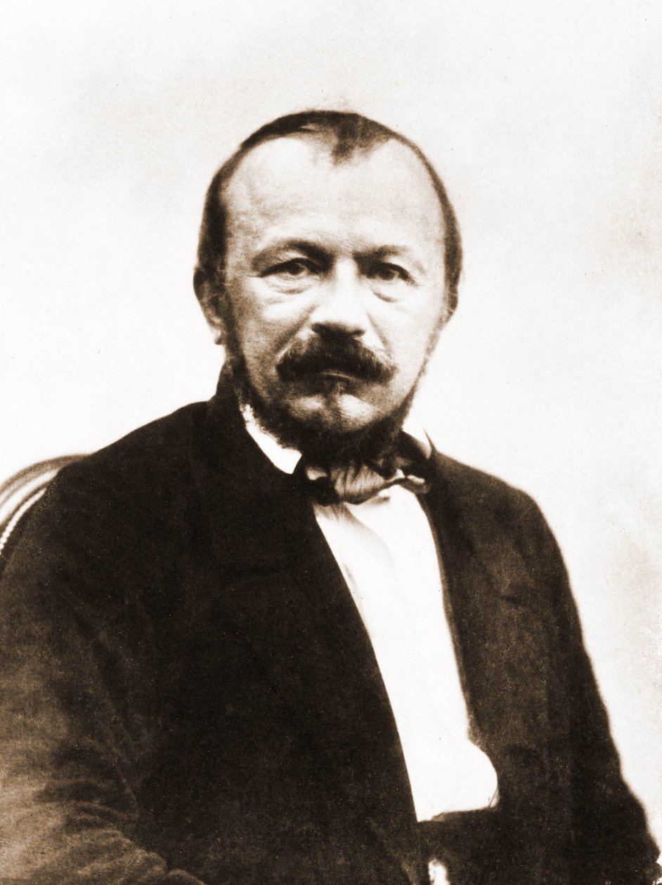 Portret Gerarda de Nerval, pisarza 1808-1855 (foto) autorstwa Nadar