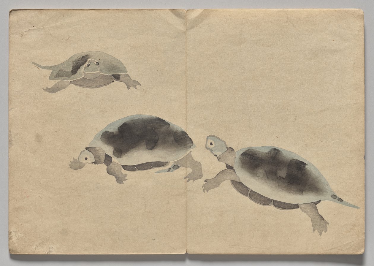 Scena z Kōrin Picture Book (tom 2) autorstwa Nakamura Hochu