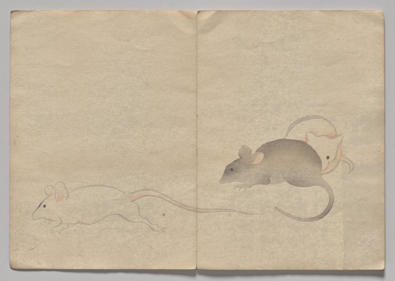Scena z Kōrin Picture Book (tom 2) autorstwa Nakamura Hochu